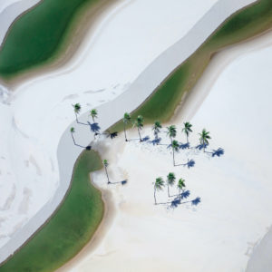 Yi Sun - Coffee or Tea, Study 2, Lençóis Maranhenses National Park, Brazil, 2018