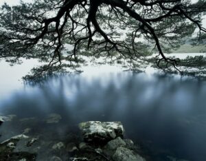 Torridon